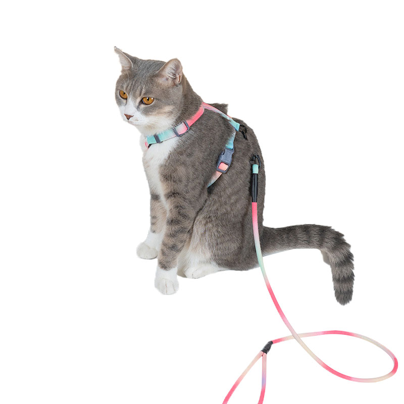 High Quality Custom Cat Walking Collar Leashes Anti-break Cat Harness Leash Set Pet Buddy Belts