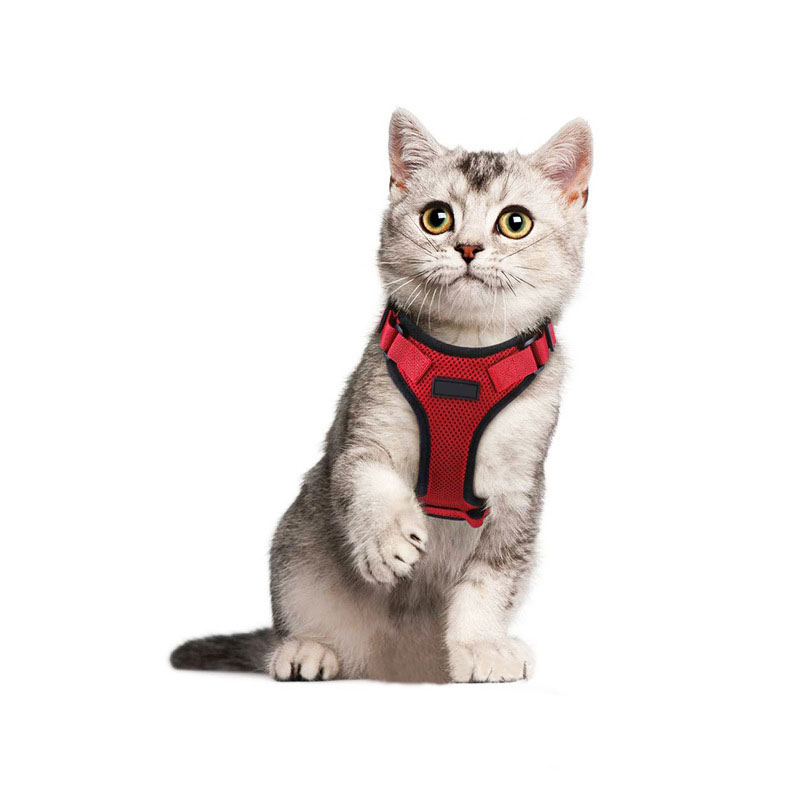 Pet Accessories Summer Air Mesh New Harness Cat Walking Reflective Cat Harness Vest